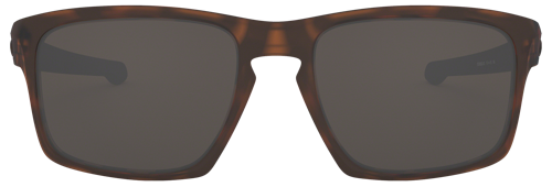 Sunglasses C1